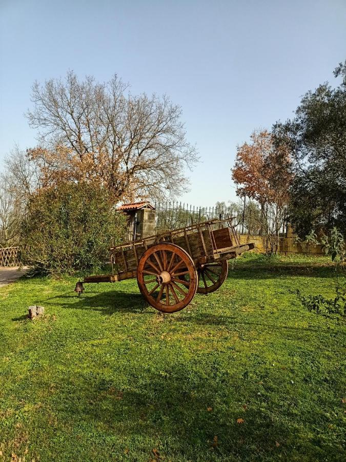 Rifugio Di Campagna Villa Vitorchiano Bagian luar foto